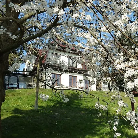 Falkenhalde * Baden-Baden